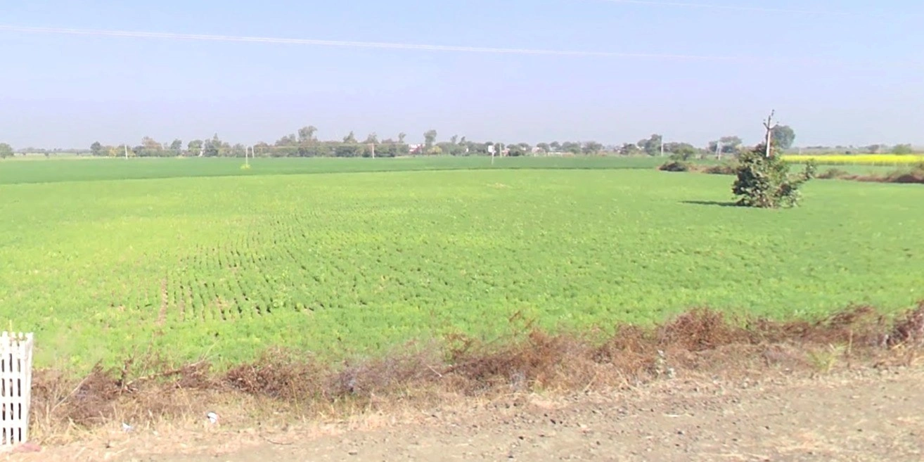 Kalwa, Madhya Pradesh, India