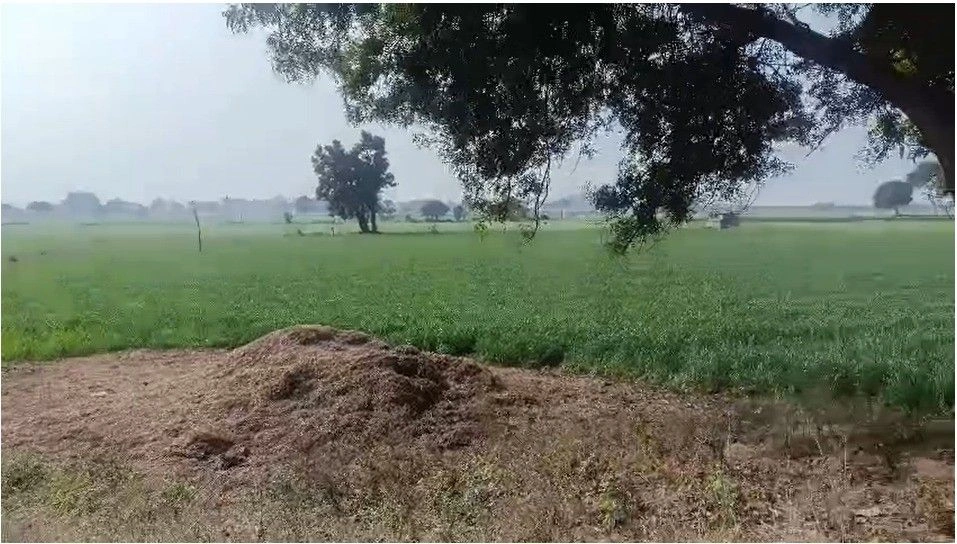 2X2M+X8Q, Singawada, Madhya Pradesh 455001, India