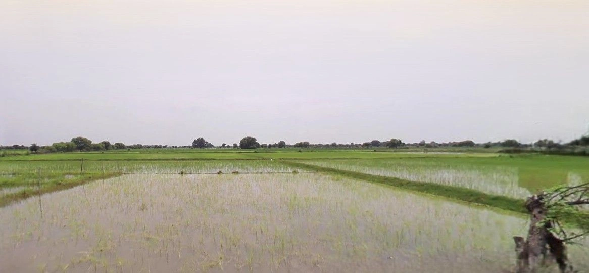 Gharsana, Rajasthan 335711, India