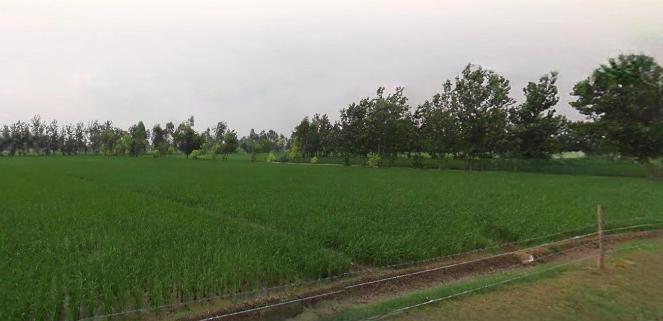 Sikandrabad, Uttar Pradesh 203205, India preview 2