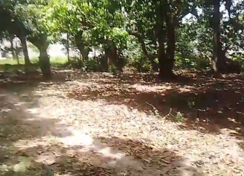 V9XC+H6, Khera Afghan, Uttar Pradesh 247340, India