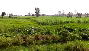 NH 730, Maharaj Nagar, Lakhimpur, Uttar Pradesh, India preview 2