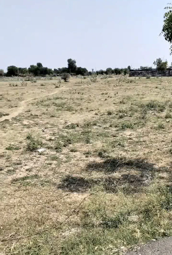 PRJQ+C2V, Jaipur, Beelwa, Chota, Khetapura, Bari Ka Bas, Rajasthan 302029, India