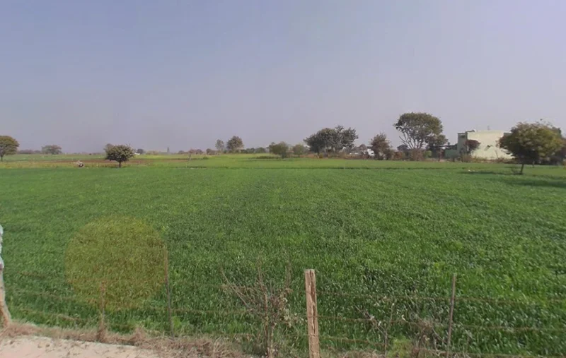 Bhadani, Haryana 124104, India preview 3