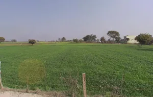 Bhadani, Haryana 124104, India preview 3