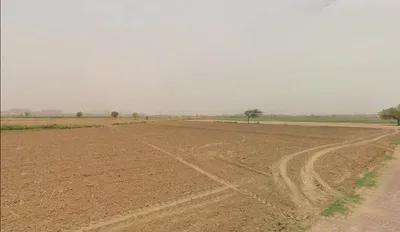 FQFJ+PC7, Nasopur, Choroti Istmurar, Rajasthan 301001, India preview 3