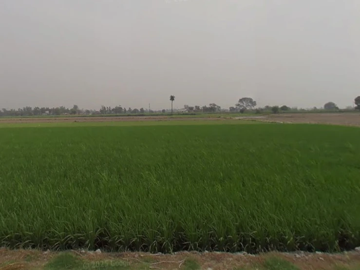 Shahabad Garhi, Uttar Pradesh 250406, India