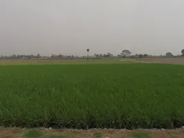 Shahabad Garhi, Uttar Pradesh 250406, India preview 2