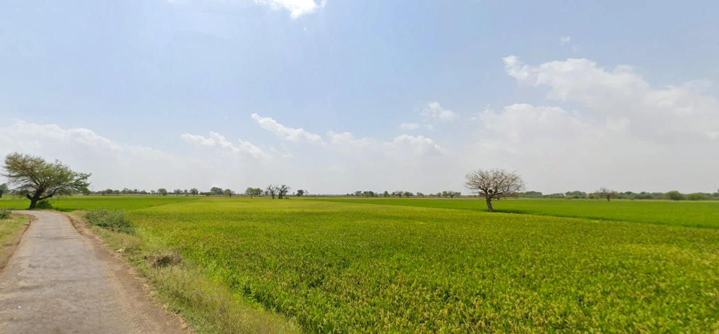 Ayalki, Haryana 125051, India