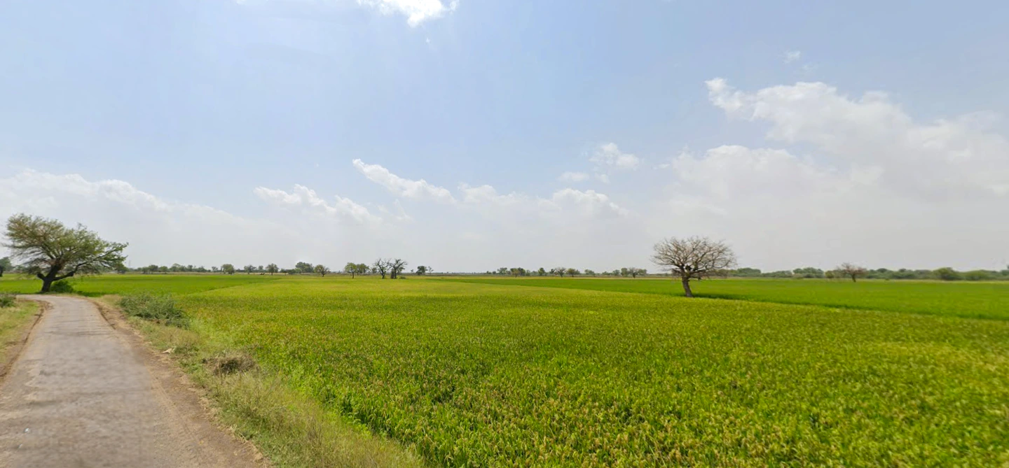 Ayalki, Haryana 125051, India