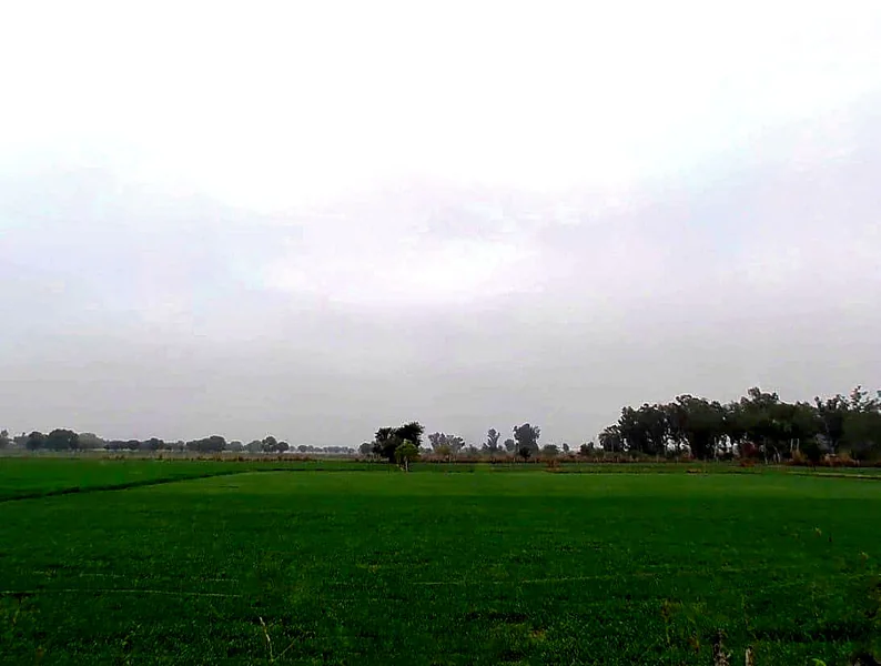 Bassi Naaga, Jaipur, NH-8, Ajmer Road, Jobner, Jobner, Rajasthan 303329, India preview 3