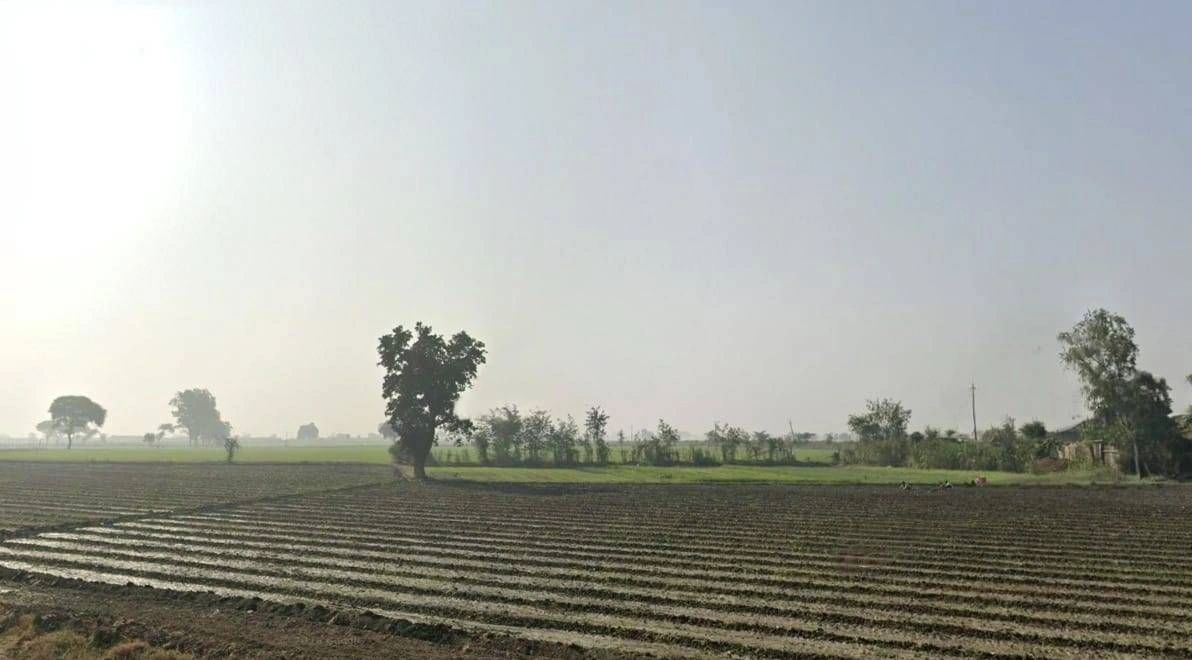 Palkhedi, Madhya Pradesh 456006, India preview 3