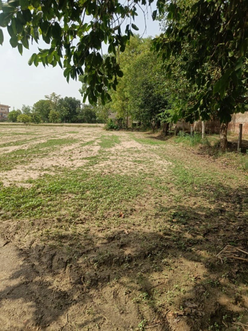 Gauhari, Uttar Pradesh 281401, India preview 2