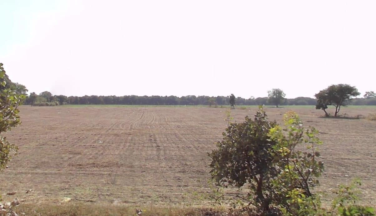 3VFX+HPH, Semaliyanasar, Madhya Pradesh 456664, India