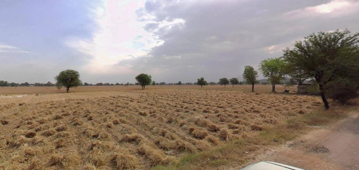 Bhatkuchi, Assam 781314, India