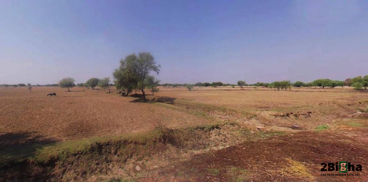 Muskara, Uttar Pradesh 210506, India