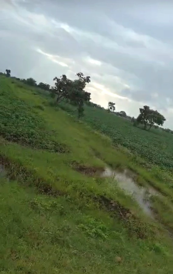 Barkheda Jat, Madhya Pradesh 458220, India