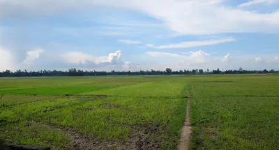 Ellenabad, Haryana 125102, India preview 3