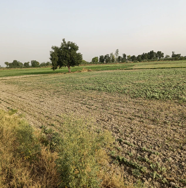 Mall Rd, Ludhiana, Punjab 141001, India