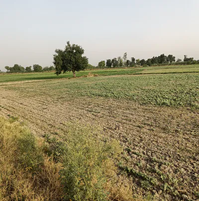 Mall Rd, Ludhiana, Punjab 141001, India preview 3