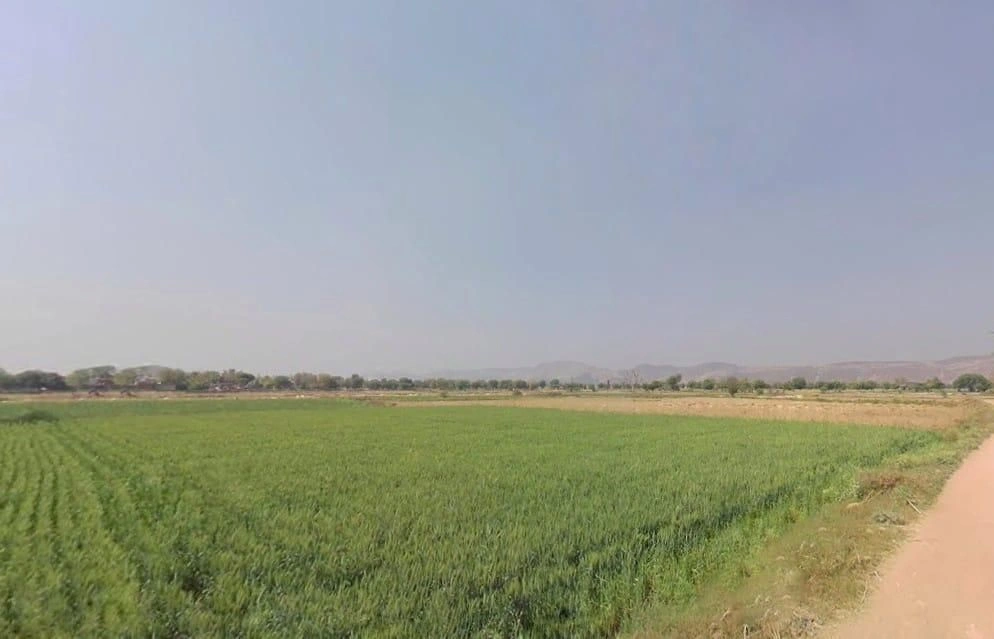 Chikani, Rajasthan 301028, India preview 2