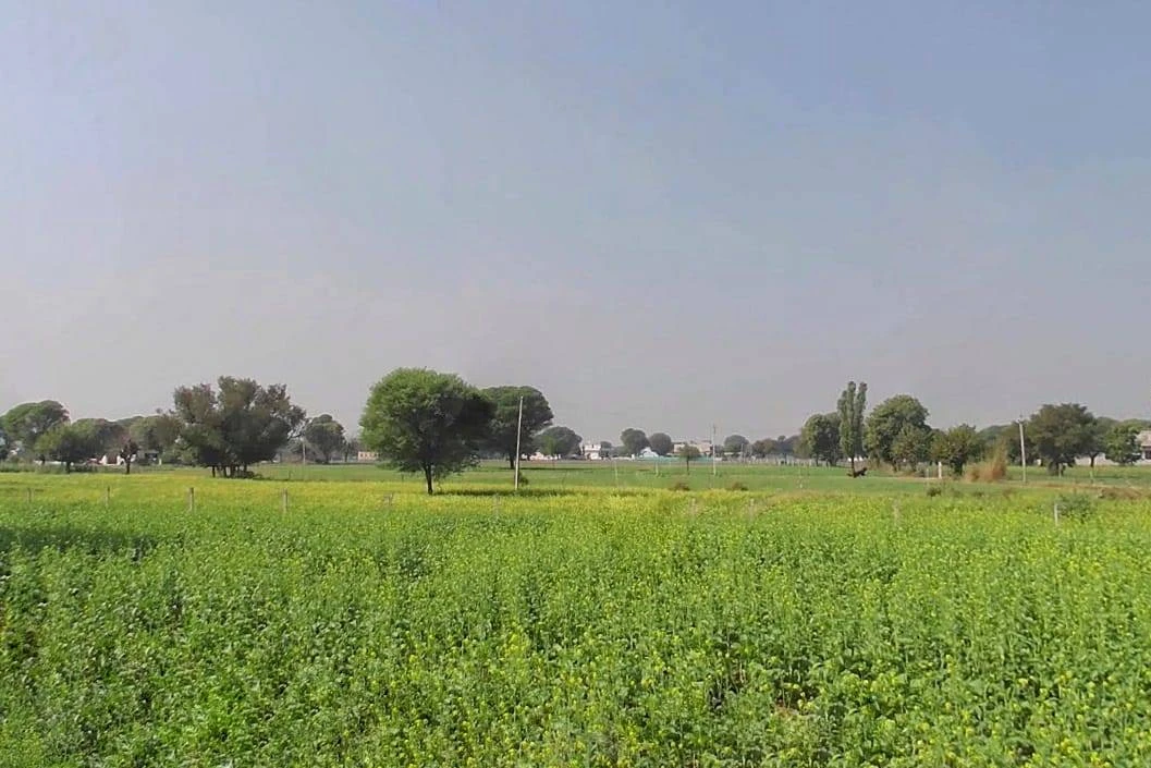 3RVH+3J7, Khora Shyamdas, Rajasthan, India