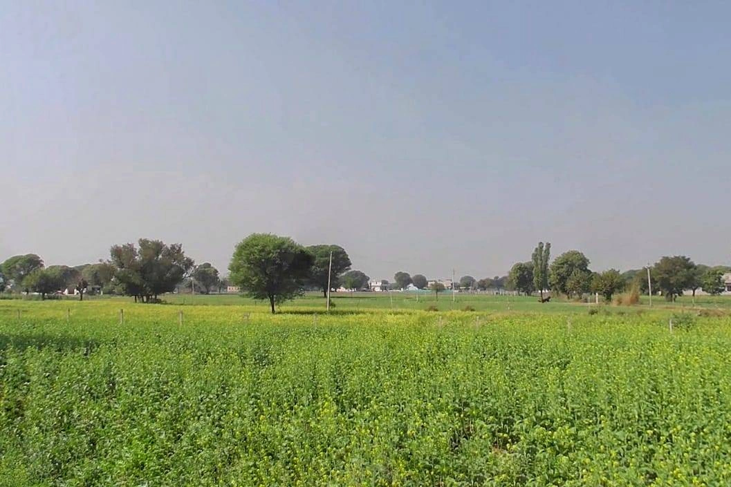 3RVH+3J7, Khora Shyamdas, Rajasthan, India