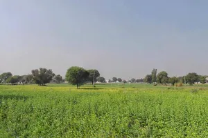 3RVH+3J7, Khora Shyamdas, Rajasthan, India preview 3