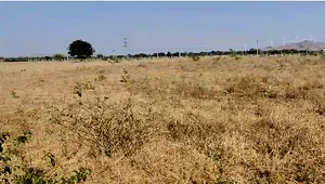 Thurakalapatnam, Andhra Pradesh 515123, India preview 2