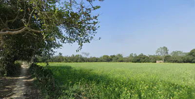 Palia Kalan, Uttar Pradesh 262902, India preview 2