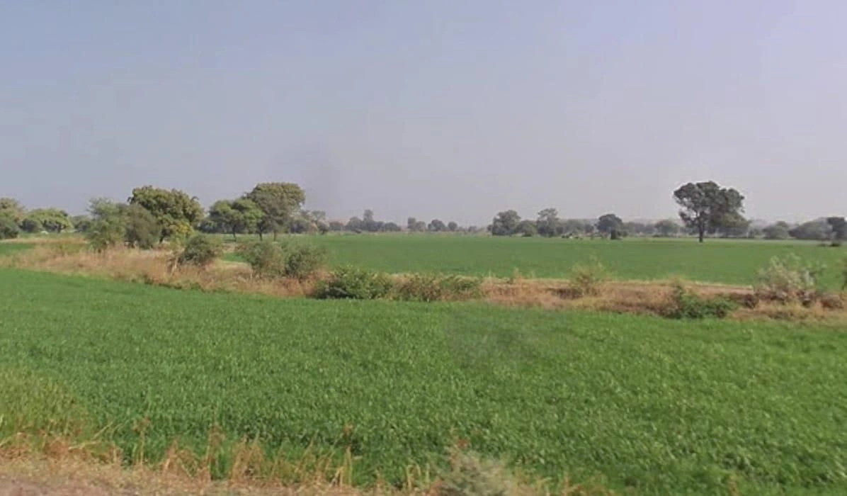 Nasrullaganj, Madhya Pradesh 466331, India preview 2