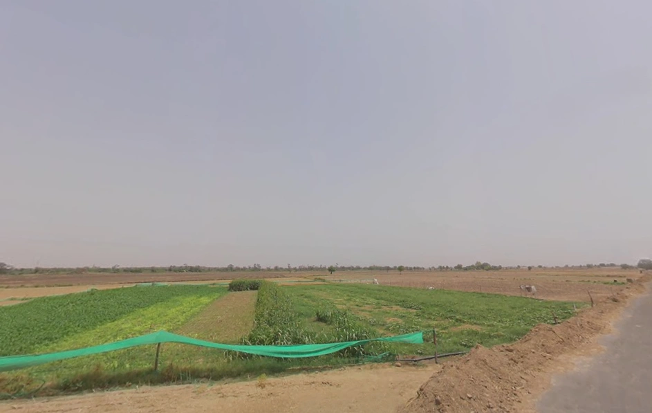 Farukh Nagar, Haryana 122506, India