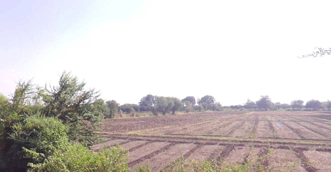 Kasrawad, Madhya Pradesh 451228, India