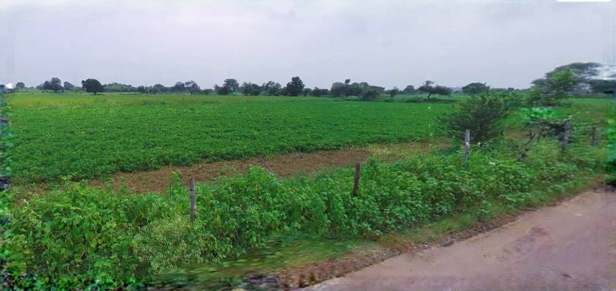 Sohna, Haryana 122103, India