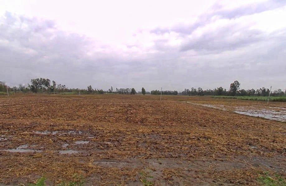 Puranpur Rd, Navadia Mankanth, Uttar Pradesh, India