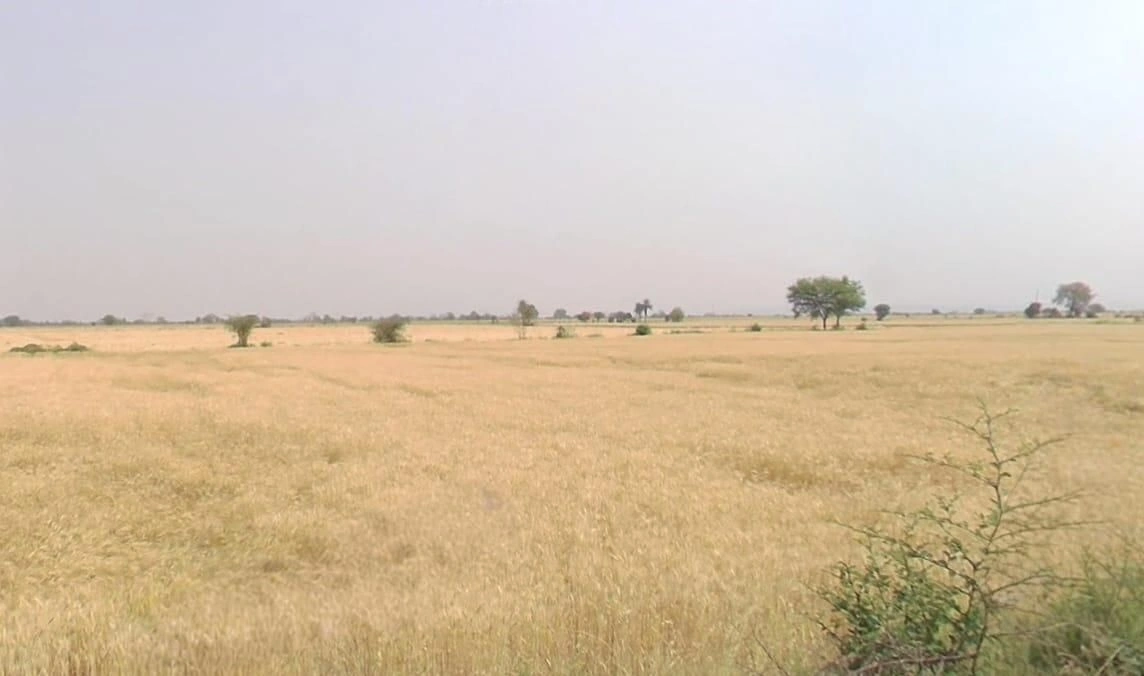 Sultanganj, Madhya Pradesh, India