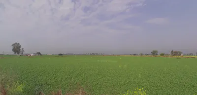 Handiaya, Punjab, India preview 3
