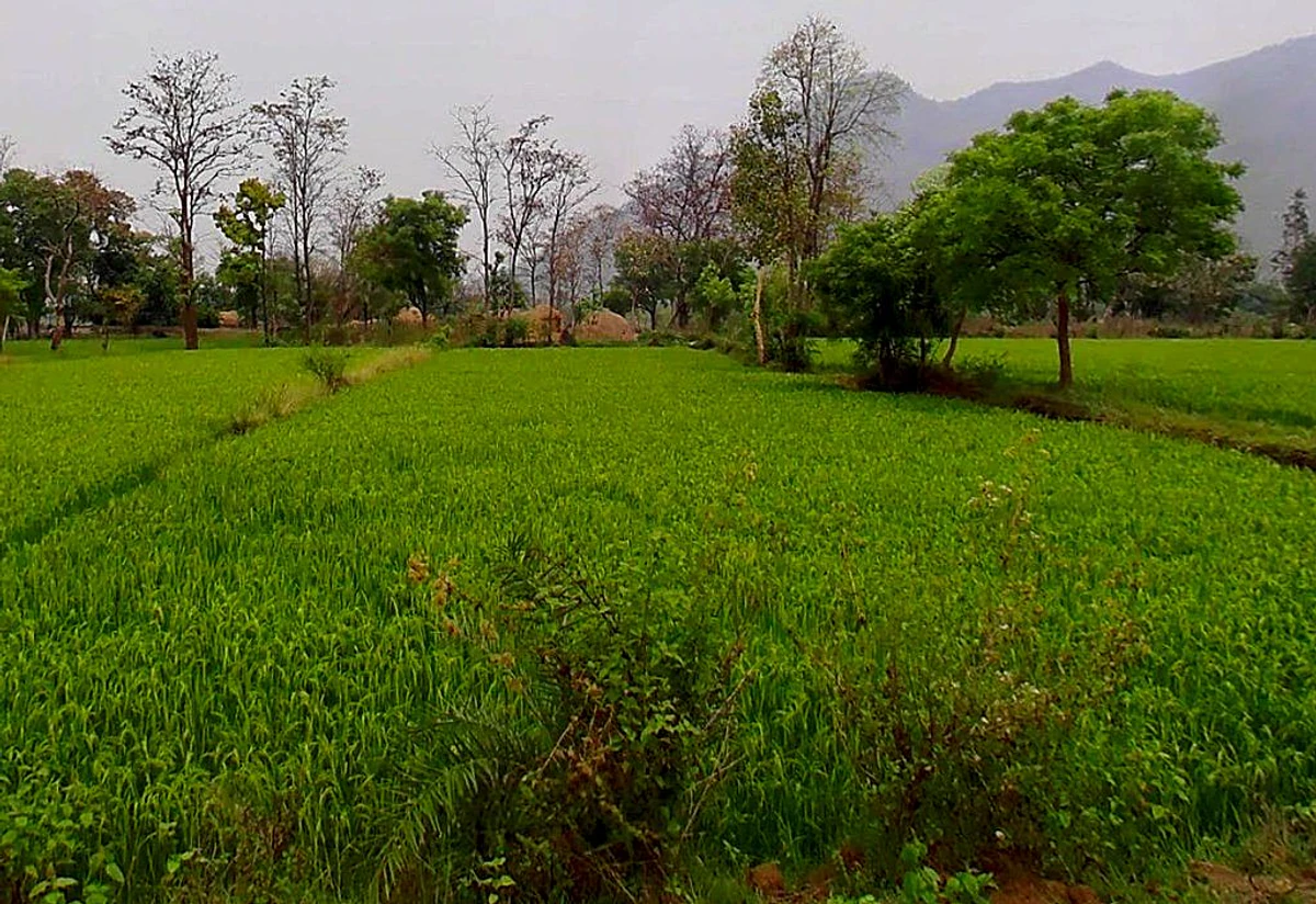 Singbandha, Chhattisgarh, India