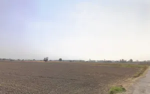 Barasat, West Bengal 741257, India preview 2