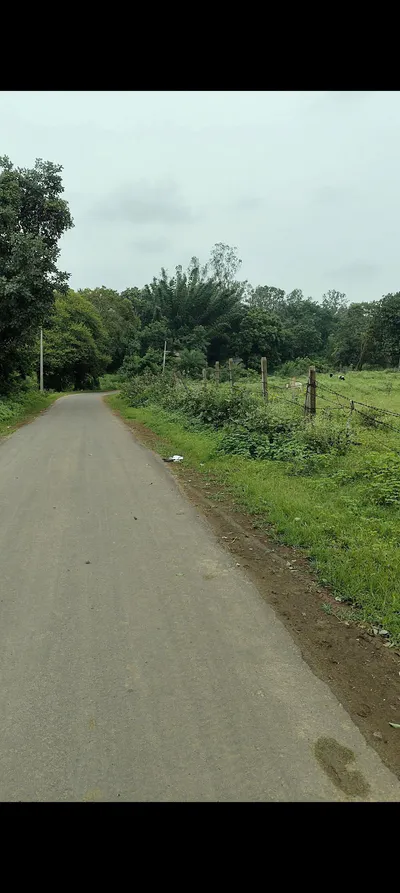 Tamia, Chhindwara, Madhya Pradesh 480559, India preview 3
