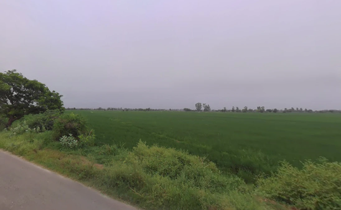 Fatehgarh, Haryana 126101, India