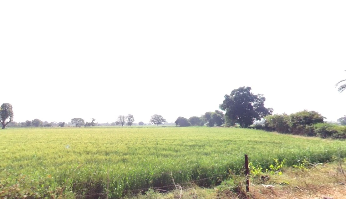 Dehariyasahu, Madhya Pradesh 455221, India