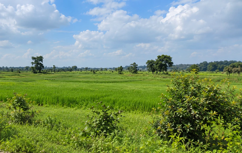 Rajnagar, Chhatarpur, Madhya Pradesh, India