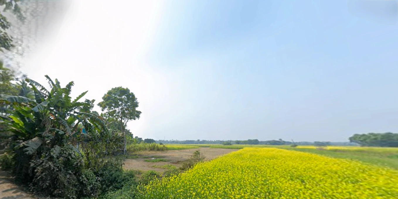 57, Canal Circular Rd, beside Ajanta Footwear Factory, Kadapara, Phoolbagan, Kankurgachi, Kolkata, West Bengal 700054, India