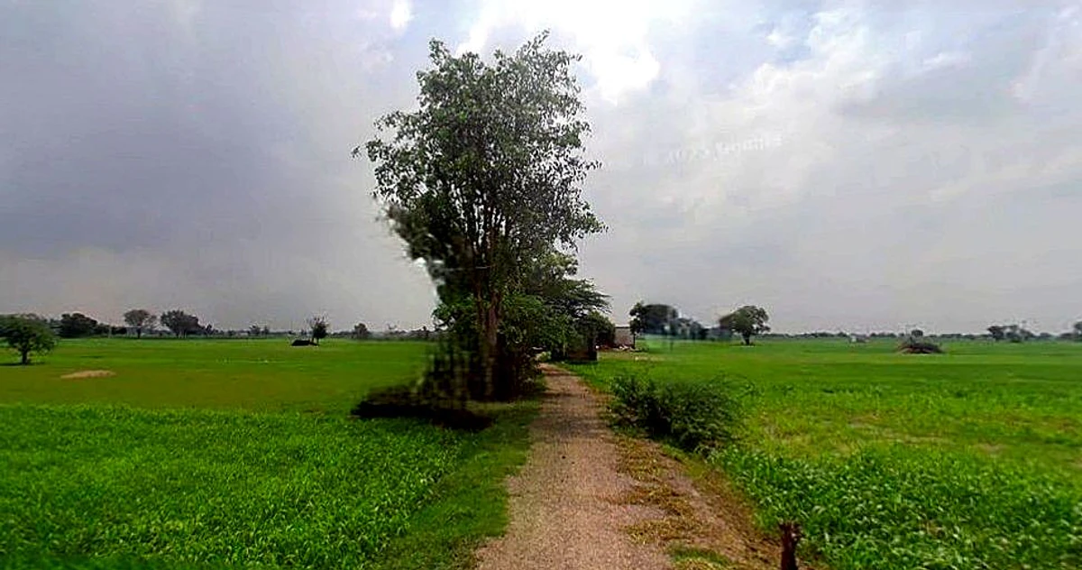 Chandla, Madhya Pradesh 471525, India