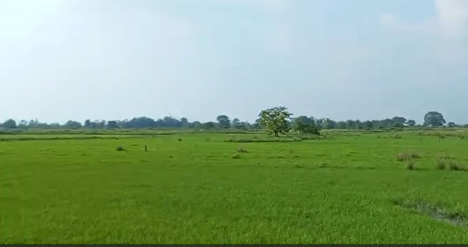VX68+QCC, Khargone, Bhikangaon, Madhya Pradesh 451331, India - Photo 3