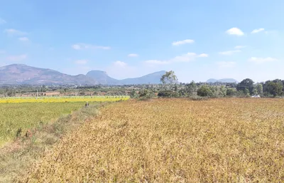 Melekote, Karnataka 561205, India preview 3