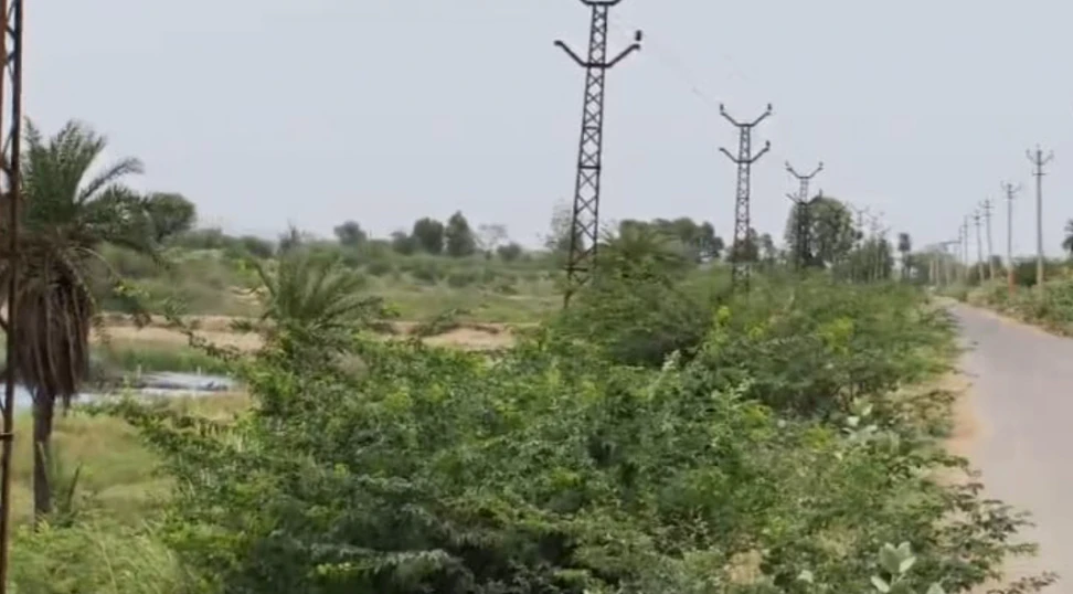 WF4X+9H Kalakho, Dausa, Rajasthan, India