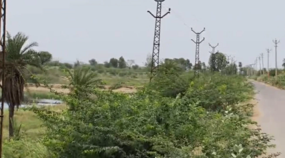 WF4X+9H Kalakho, Dausa, Rajasthan, India