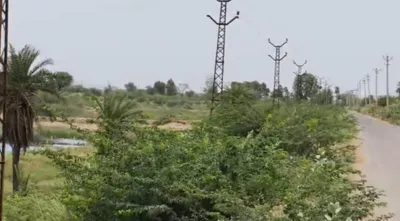 WF4X+9H Kalakho, Dausa, Rajasthan, India preview 2
